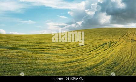 A large green field before the rain. Fertile soil in the hills. Thick clouds over farm land in the evening Stock Photo