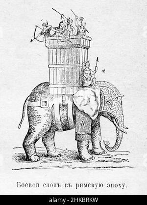 The Fighting Elephant in the Roman Era Stock Photo