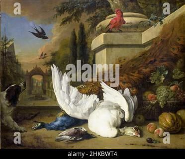 A Dog with a dead Goose and Peacock (A Study of Game and Fruit), painting by Jan Weenix, circa 1700 Stock Photo