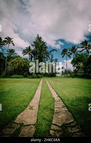 Old Driveway Leads Through Lush Lawn and Palm Garden Stock Photo