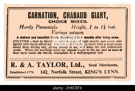 Original early 1900's seed packet containing seeds - Carnation, Chabaud Giant, choice mixed -seed merchants R & A Taylor of King's Lynn, Norfolk, circa 1930's Stock Photo