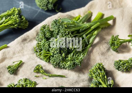 Raw Organic Fresh Broccolini Vegetable Ready to Cook Stock Photo