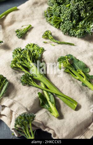 Raw Organic Fresh Broccolini Vegetable Ready to Cook Stock Photo