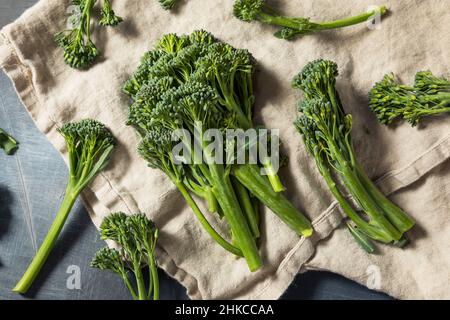 Raw Organic Fresh Broccolini Vegetable Ready to Cook Stock Photo