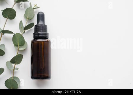 Mockup image of glass dropper bottle with eucalyptus essential oil and eucalyptus tree branch. Natural cosmetics, facial anti-aging oil. Copy space. Stock Photo