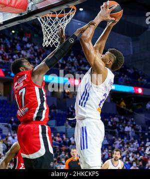 Euroleague news online