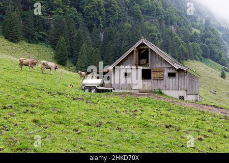 mountain barn seealpsee, barn with open window in the attic, visible hay bales, in front of the house milk trailer and cows on the green pasture, in t Stock Photo