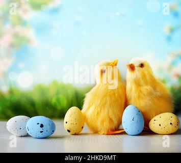 Easter eggs and chickens on green grass on blue background. Easter card. Stock Photo