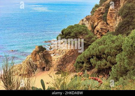 The beautiful beaches with the famous coves of the tourist town of Calella, a famous resort on the Costa Brava in Spain. Stock Photo