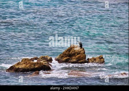 Sant Pol de Mar is the most picturesque of the Costa Brava villages ...