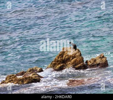 The beautiful coves of Sant Pol de Mar the smallest and most ...