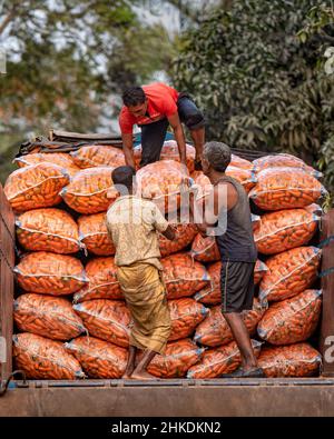 Farmers are washing and processing carrots Stock Photo