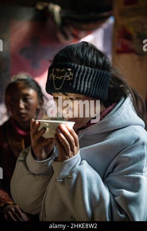 (220204) -- LHASA, Feb. 4, 2022 (Xinhua) -- Tenzin Drolma drinks fresh milk in Gyaga Village of Damxung County, southwest China's Tibet Autonomous Region, Jan. 18, 2022. Tenzin Drolma, 21, was born on the grassland near Lake Namtso in Tibet. In 2020, she was admitted to Jiangsu Food and Pharmaceutical Science College in east China's Jiangsu Province as a Chinese pharmacy major student. The college life in the outside world is fresh to Drolma. She met many new classmates and made many friends. When winter vacation came, Drolma returned to her beloved home. 'I leave my hometown in order to Stock Photo