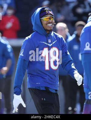 Minnesota Vikings wide receiver Justin Jefferson discusses winning  dodgeball tourney at Pro Bowl Skills Showdown