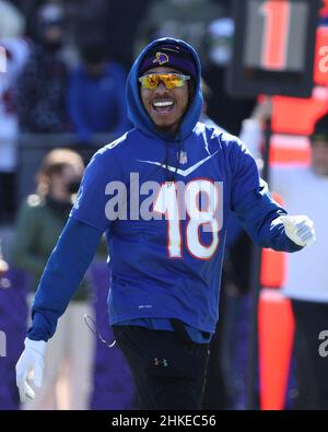 Las Vegas, Nevada, USA. 5th Feb, 2022. San Francisco 49ers wide receiver  Deebo Samuel (19) during the NFC Pro Bowl Practice at Las Vegas Ballpark in  Las Vegas, Nevada. Darren Lee/CSM/Alamy Live