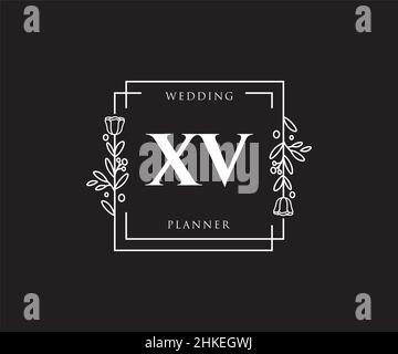 XV feminine logo. Usable for Nature, Salon, Spa, Cosmetic and Beauty Logos. Flat Vector Logo Design Template Element. Stock Vector