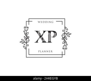 XP feminine logo. Usable for Nature, Salon, Spa, Cosmetic and Beauty Logos. Flat Vector Logo Design Template Element. Stock Vector