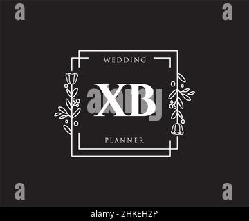 XB feminine logo. Usable for Nature, Salon, Spa, Cosmetic and Beauty Logos. Flat Vector Logo Design Template Element. Stock Vector