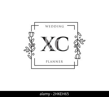 XC feminine logo. Usable for Nature, Salon, Spa, Cosmetic and Beauty Logos. Flat Vector Logo Design Template Element. Stock Vector