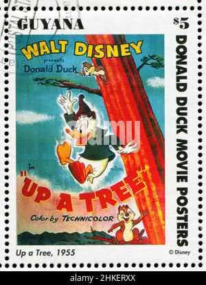 GUYANA - CIRCA 1994: stamp printed by Guyana, shows Walt Disney characters, Up a tree, circa 1994 Stock Photo