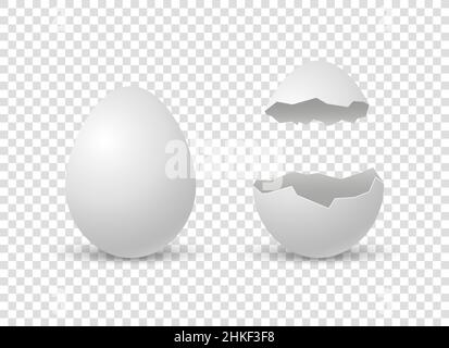 Brocken eggs. Crack eggshell. Vector realistic break white shell on transparent background. Stock Vector