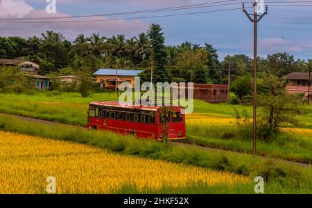 Ratnagiri, INDIA - October 9, 2021 : Red colored state transport bus operated by MSRTC running on streets of Ratnagiri. Highly used public transportat Stock Photo