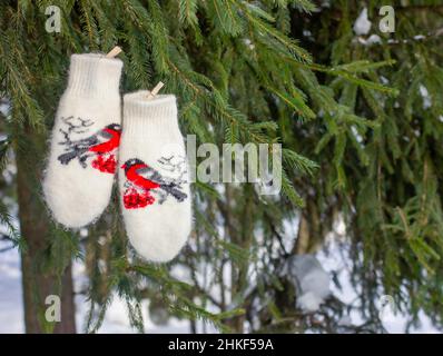 beautiful woolen knitted mittens with bullfinch embroidery hang on clothespins, spruce background. the concept of warmth and comfort. Stock Photo