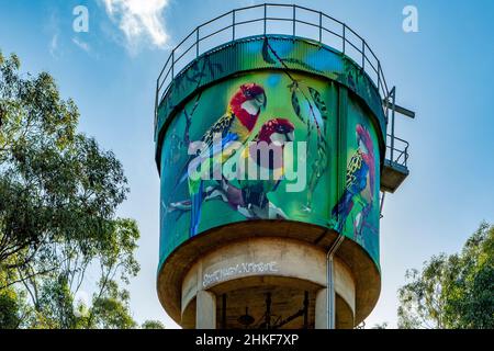 Eastern Rosella Water Tower Art, Milbrulong, NSW, Australia Stock Photo