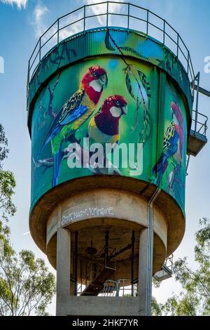 Eastern Rosella Water Tower Art, Milbrulong, NSW, Australia Stock Photo