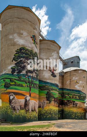 Silo Art, Grenfell NSW, Australia Stock Photo