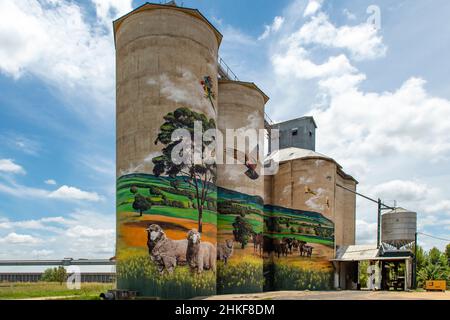 Silo Art, Grenfell NSW, Australia Stock Photo