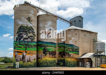 Silo Art, Grenfell NSW, Australia Stock Photo