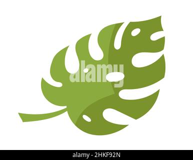 Leaf of monstera. Plant in cartoon style. Stock Vector