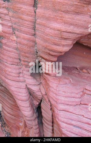 Abstract pattern in layered pink sandstone, Valley of Fire State Park, Nevada Stock Photo