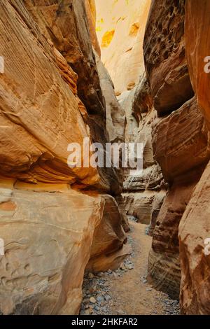 Narrow slot canyon on the White Domes Trail, Valley of Fire State Park, Nevada Stock Photo