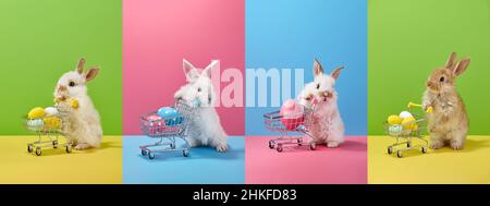 Collage with Easter bunny rabbits holding shopping basket with eggs and candies Stock Photo