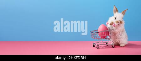 Easter bunny rabbit with shopping basket and painted egg Stock Photo