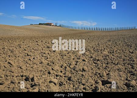 Farmhouse with San Quirico of d' Orcia, autumn, Crete, Tuscany, Italy / farm near San Quirico of d' Orcia, Crete, Tuscany, Italy Stock Photo