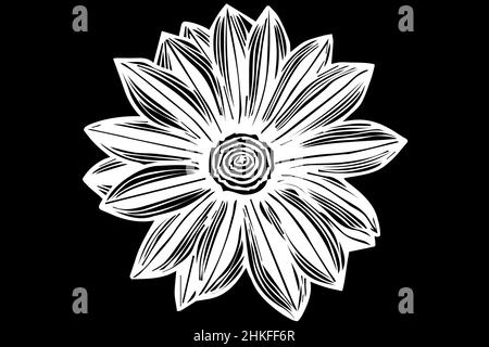 Black and white vector sketch blooming flower Stock Photo