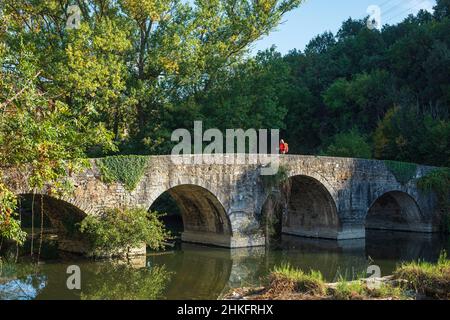 Spain, Navarre, Villava (Atarrabia), municipality on the Camino Francés, Spanish route of the pilgrimage to Santiago de Compostela, listed as a UNESCO World Heritage Site, medieval bridge over the rio Ultzama Stock Photo