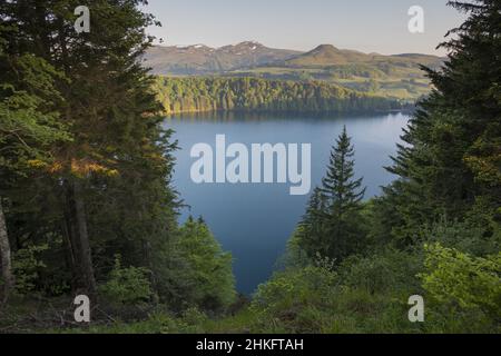 France, Puy de Dome, Besse et Saint Anastaise, Parc Naturel Regional des Volcans d'Auvergne (Natural regional park of Volcans d'Auvergne), Cezallier, the Lac Pavin, volcanic maar lake, the Monts Dore in the background, Sancy Stock Photo