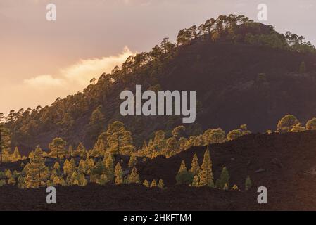 Spain, Canary Islands, Tenerife, sea of clouds on the TF38 at sunset Stock Photo