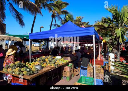 France, Reunion island (French overseas department), Saint-Pierre, the Saturday market, the pineapple fruit stalls Stock Photo