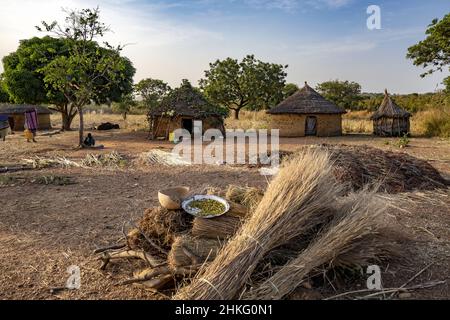 Benin, Natitingou province, peul tribal village of Moukokotamou Stock Photo