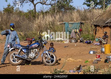 Benin, Natitingou province, peul tribal village of Moukokotamou Stock Photo