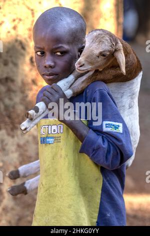 Benin, Natitingou province, peul tribal village of Moukokotamou Stock Photo