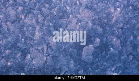 Frosty winter garden macro. Cold weather background concept. Frozen grass on the meadow with copy space Stock Photo