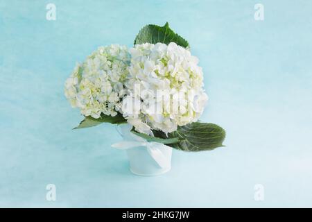 Flower arrangement bouquet of three large white and blue hydrangeas against a bluish teal backdrop. Selective focus with blurred background. Stock Photo
