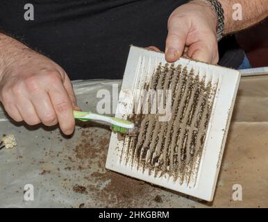 Cleaning a very dirty kitchen exhaust fan from dirt with a brush. A man cleans the parts of a fan with a brush. Stock Photo