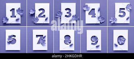 Numbers with dry autumn maple leaves. Purple very peri monochromatic paper background. Cut out numbers one to ten and zero. Design element. Stock Photo